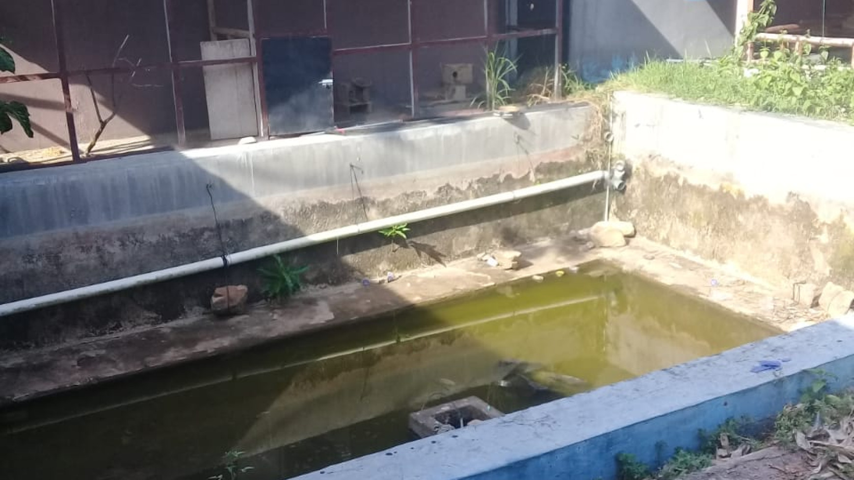 Rumah murah di Sukoharjo Pringsewu