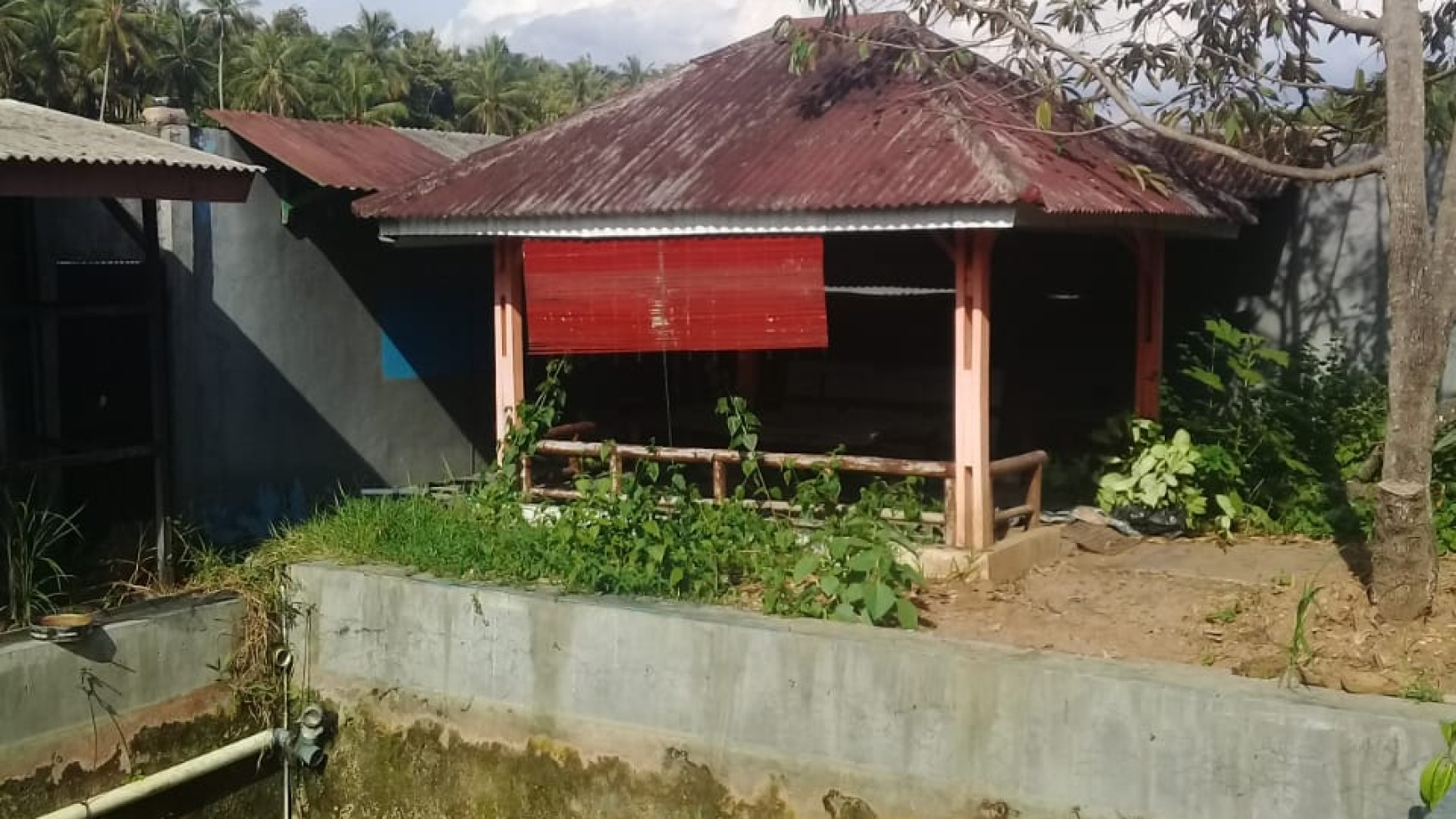 Rumah murah di Sukoharjo Pringsewu