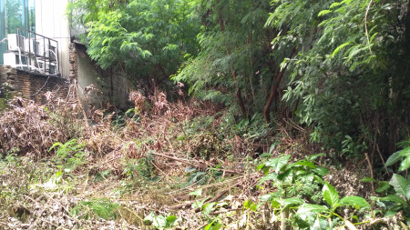 TANAH SIAP BANGUN "PRIME LOCATION - COMERCIAL" Jln.Wahid Hasyim - Jakarta Pusat