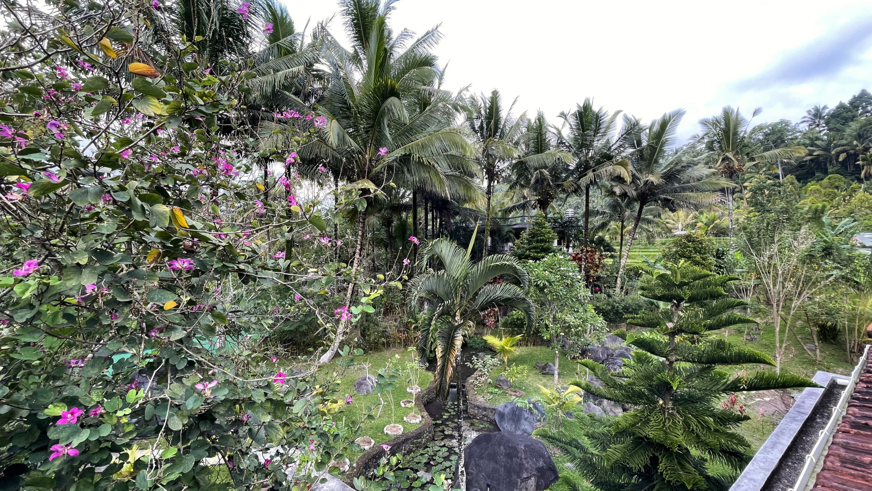 A HOUSE WITH RICEFIELD VIEW IN SERIRIT