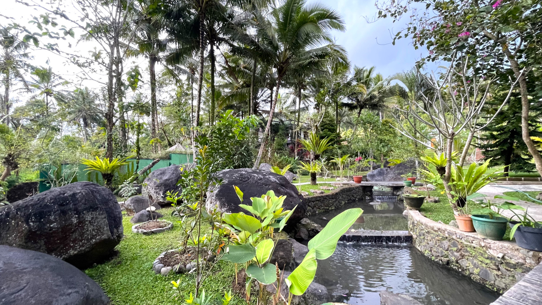 A HOUSE WITH RICEFIELD VIEW IN SERIRIT