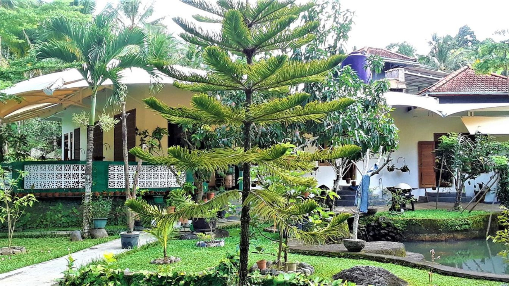 A HOUSE WITH RICEFIELD VIEW IN SERIRIT