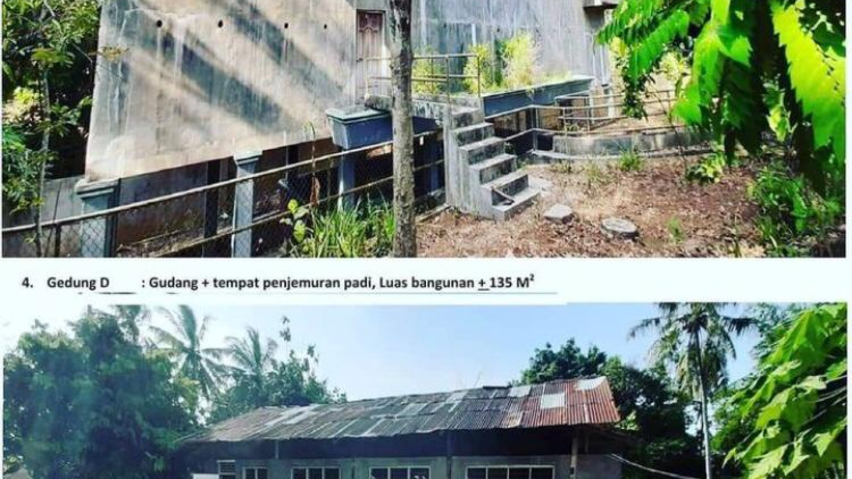 Tanah dan Bangunan luas dan murah di pinggir jalan lintas Pesawaran 