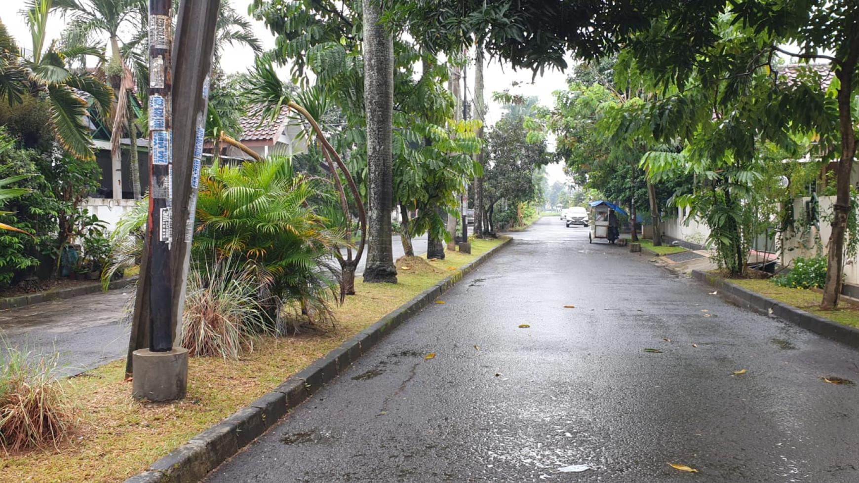 Rumah Minimalis dalam Cluster di BSD