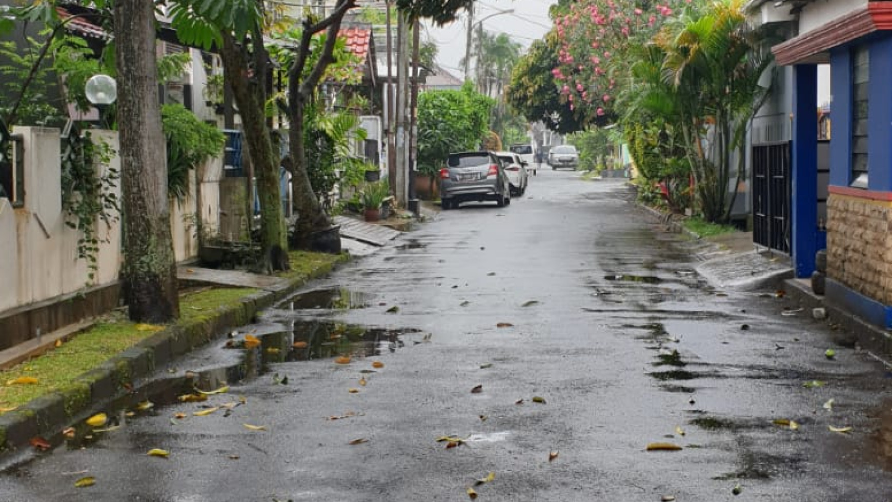 Rumah Minimalis dalam Cluster di BSD