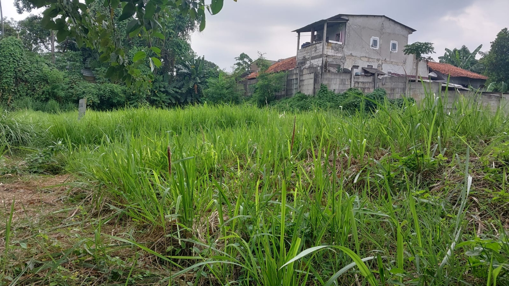 Tanah Kavling di Kebon Jeruk, Kembangan