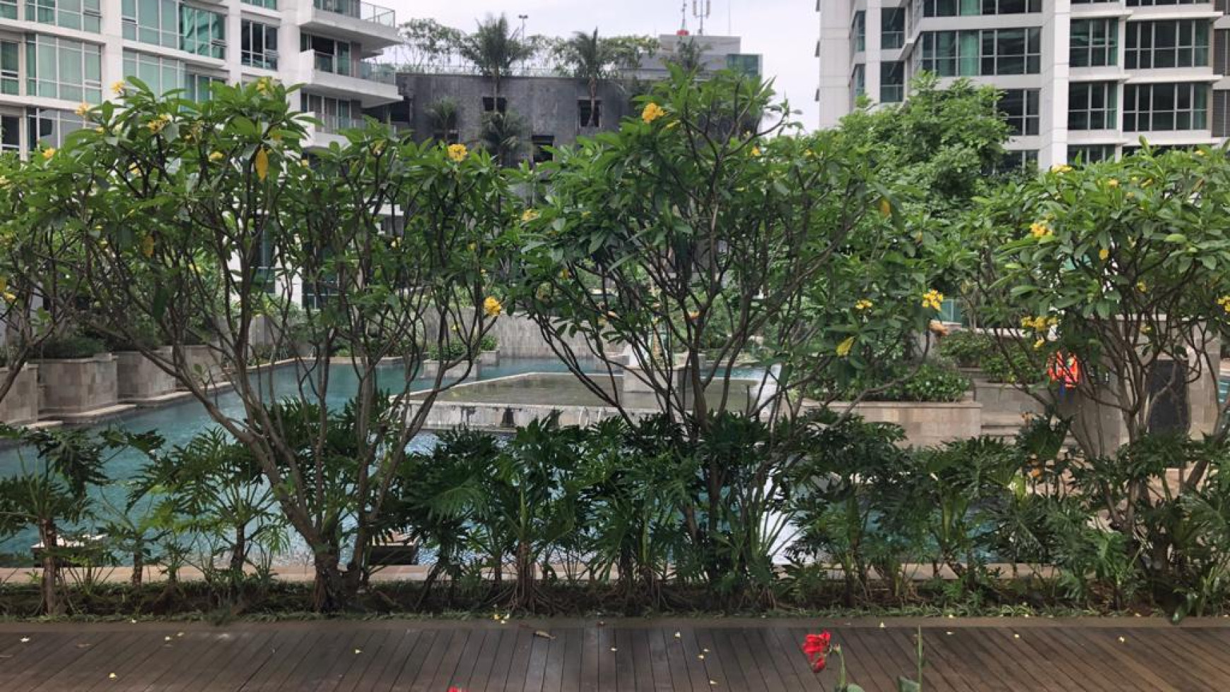 Apartement kemang village with private lift