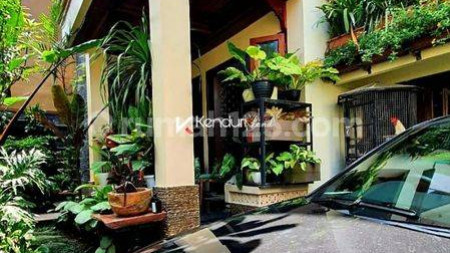 Rumah asri dan humanis di tebet