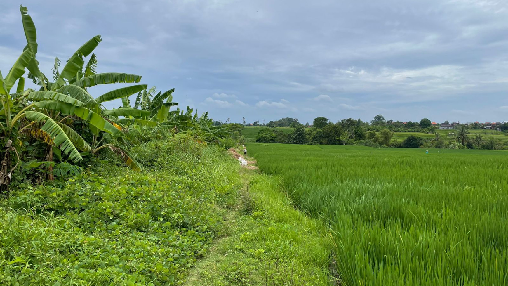 Lease hold land By Pass Tanah lot