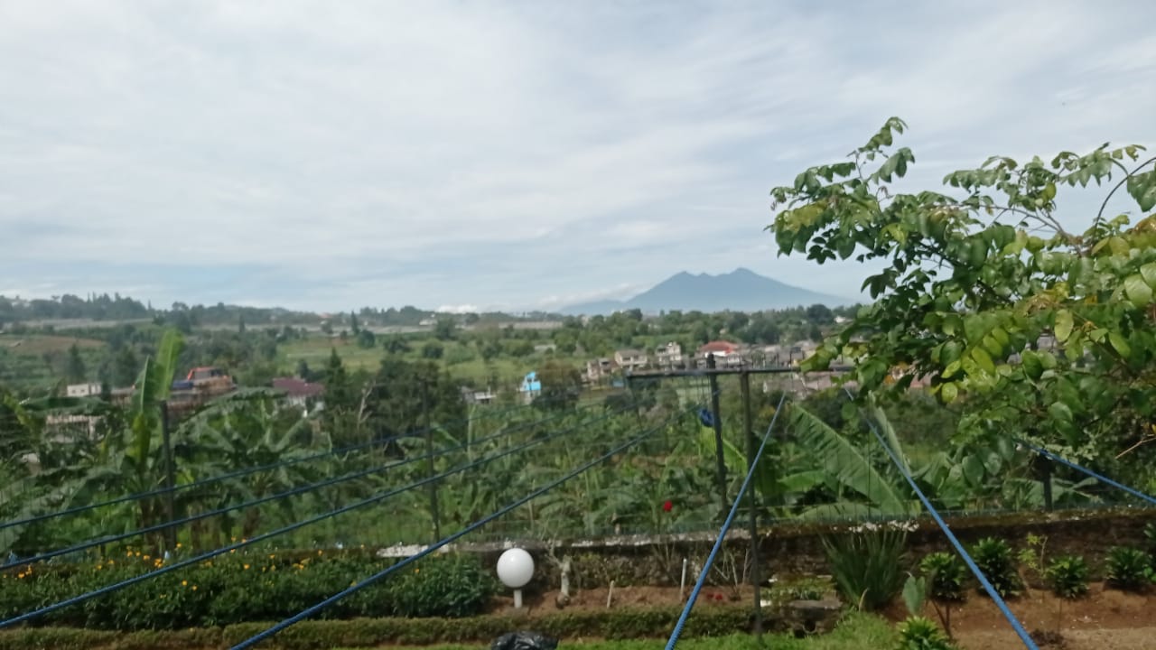 dijual tanah di puncak,jawa barat.