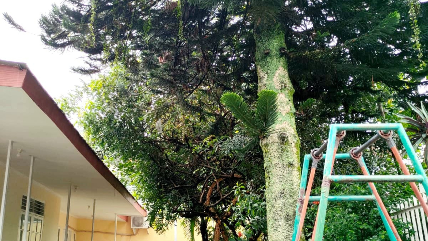 Rumah 2 lantai bagus, rapih bebas banjir di Pondok Ranji