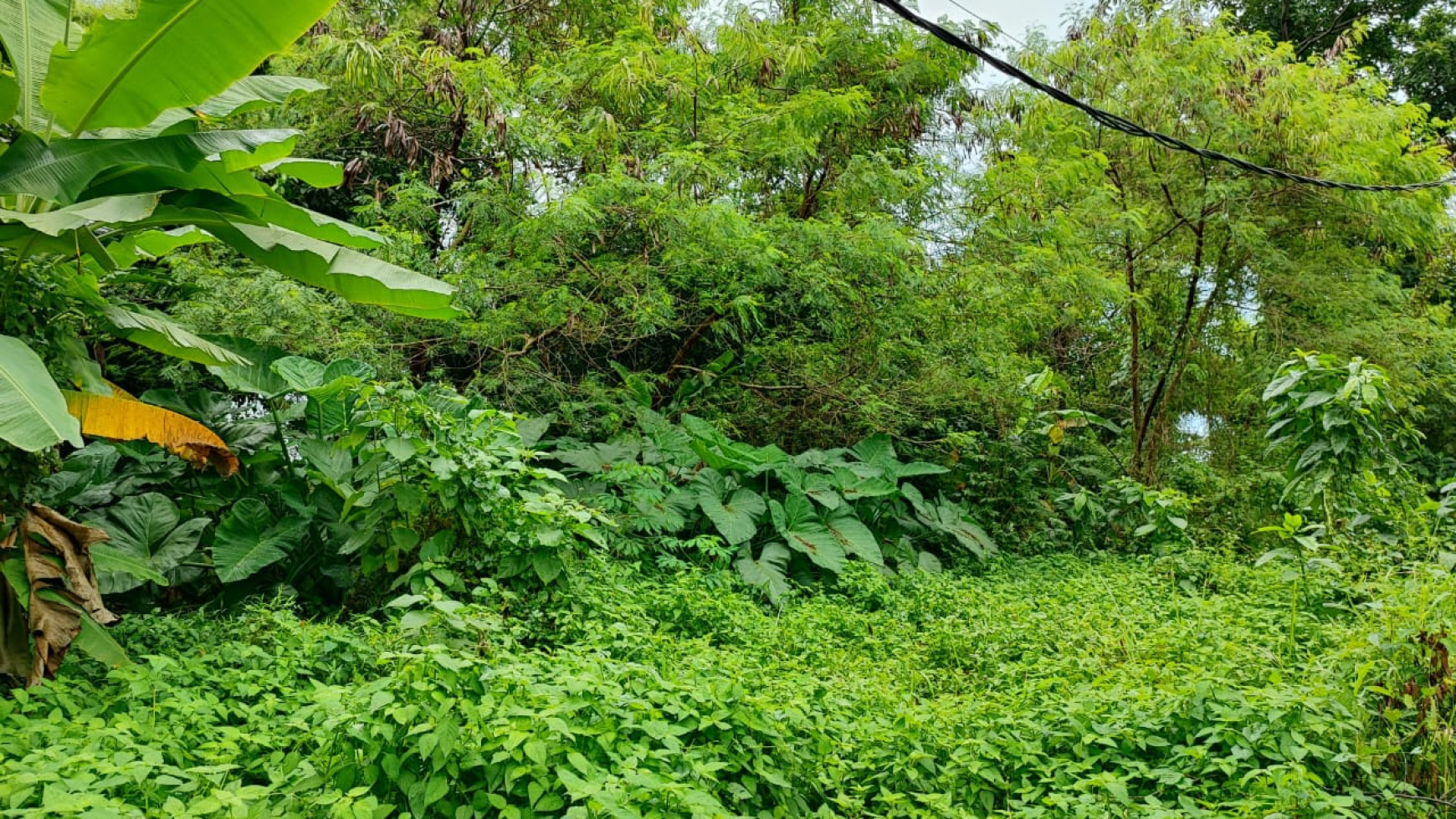 DIJUAL Tanah Tapos Ada gudang Cocok untuk pabrik gudang asrama kost cluster perumahan