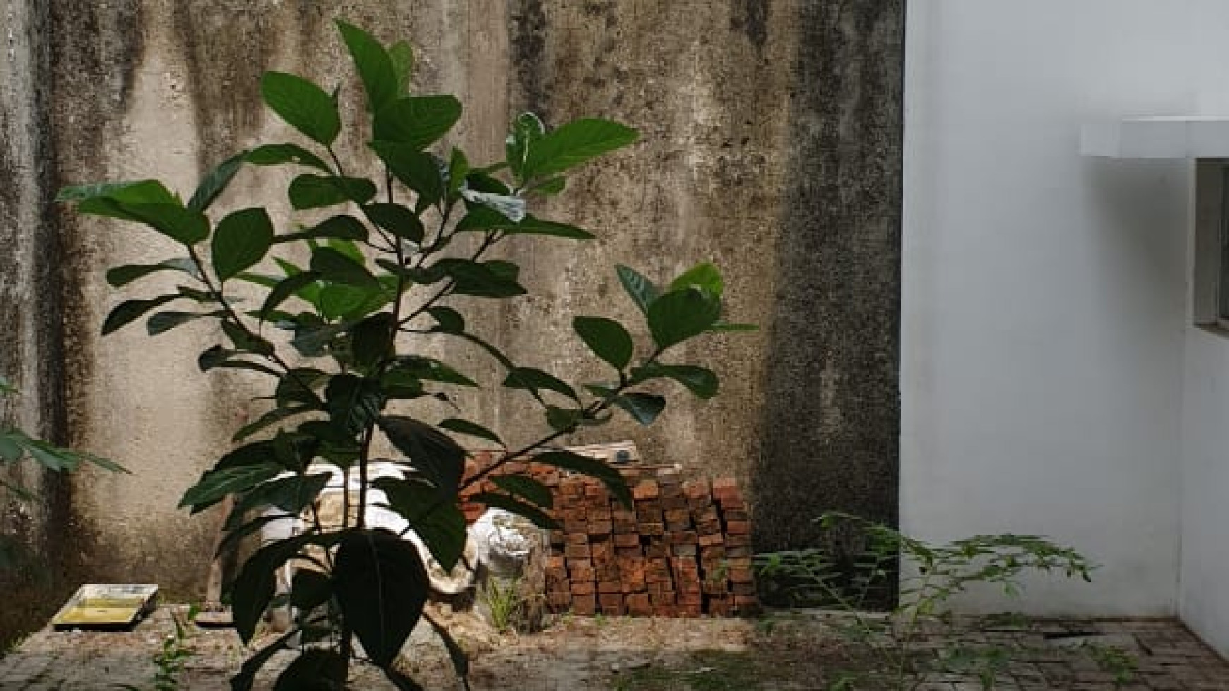 Rumah pavillion Walking distance ke rawa buntu station