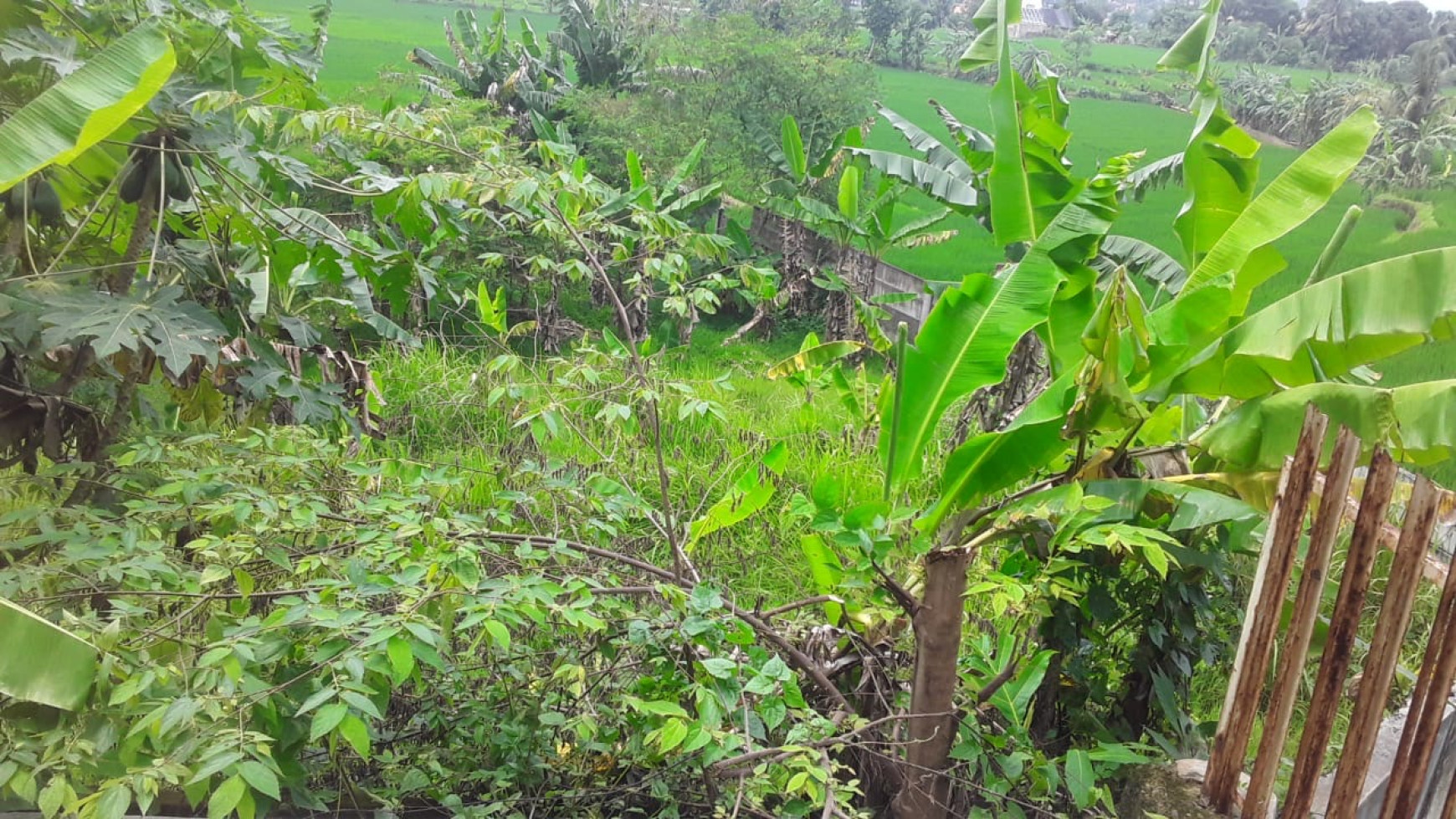 SEBIDANG TANAH DI CIHUNI, PURWAKARTA