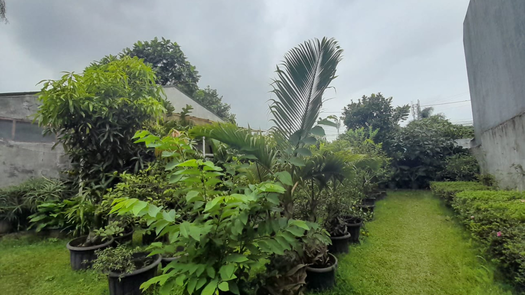 Rumah Asri dan Terawat di jl Sariasih, Bandung Utara