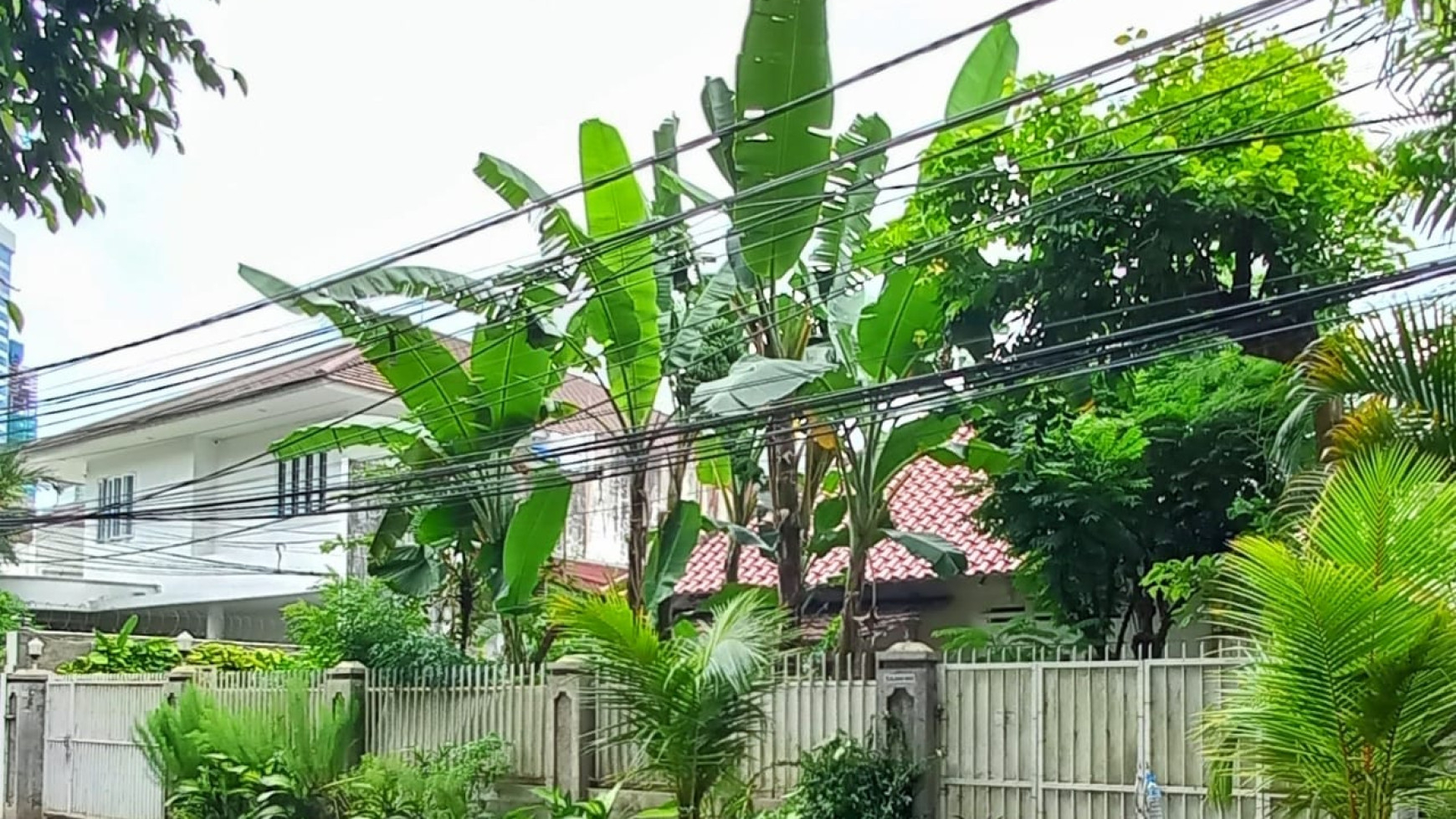 Rumah Menteng Sejuk dan Asri