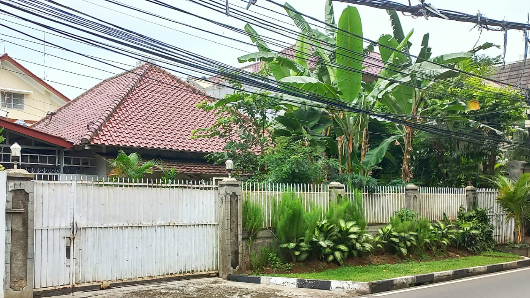 Rumah Menteng Sejuk dan Asri