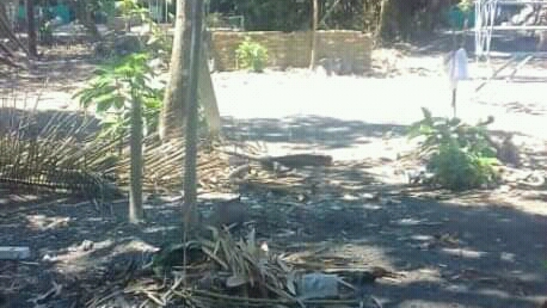 TANAH PEKARANGAN, DI JL NGEBLAK, PANDAK, BANTUL