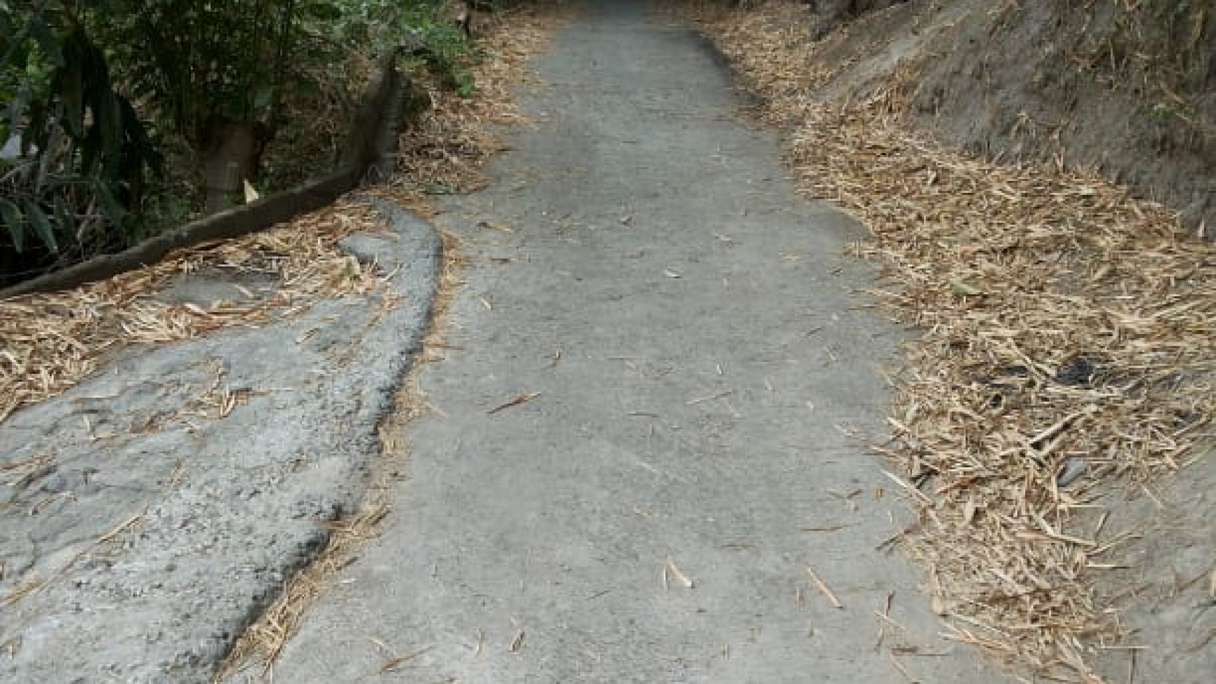 TANAH PEKARANGAN BEKAS PETERNAKAN DI JL MEJING  WETAN, AMBARKETAWANG