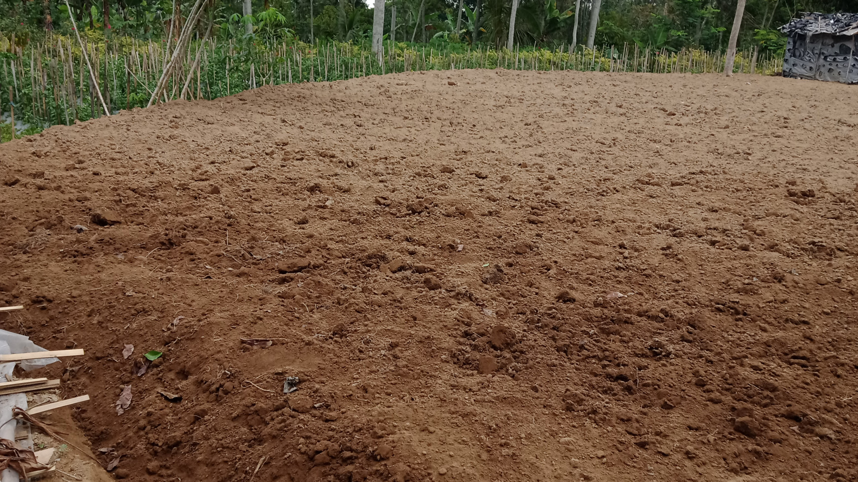TANAH SAWAH DENGAN LUAS 2000 METER DI JL MAGELANG NGABLAK
