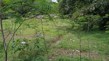 TANAH SAWAH 2320 METER PERSEGI DI TEPO, TEGALREJO, MAGELANG
