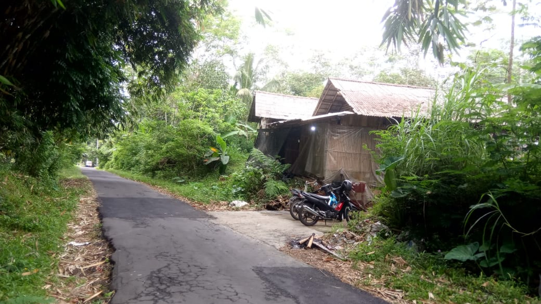 TANAH SELUAS 1390 METER PERSEGI, DI DS REJOSARI, PAKIS, MAGELANG