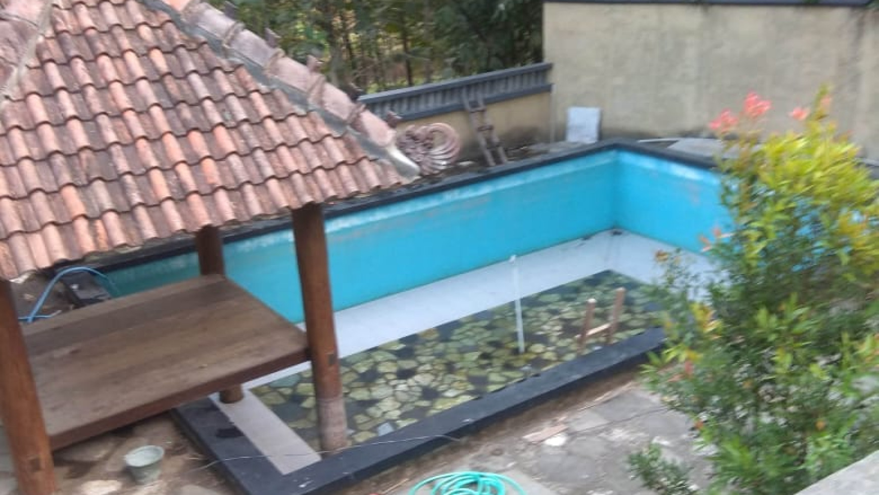 HOMESTAY SELUAS 1350 METER PERSEGI, DI PUJON, MAGELANG