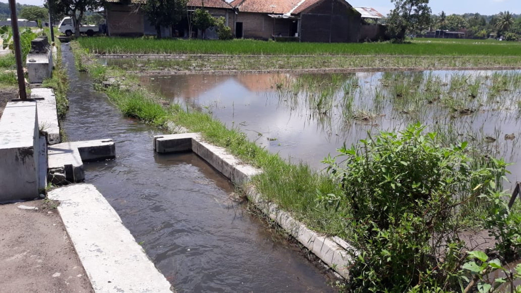 TANAH SAWAH 1266 METER PERSEGI DI PAKER, AMBARKETAWANG, GAMPING, SLEMAN