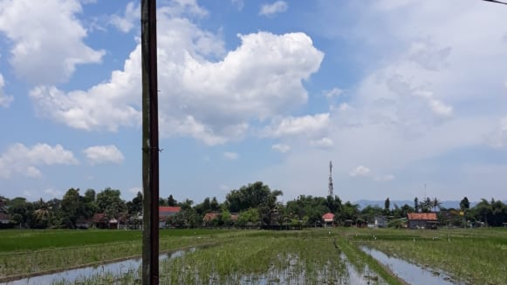 TANAH SAWAH 1266 METER PERSEGI DI PAKER, AMBARKETAWANG, GAMPING, SLEMAN