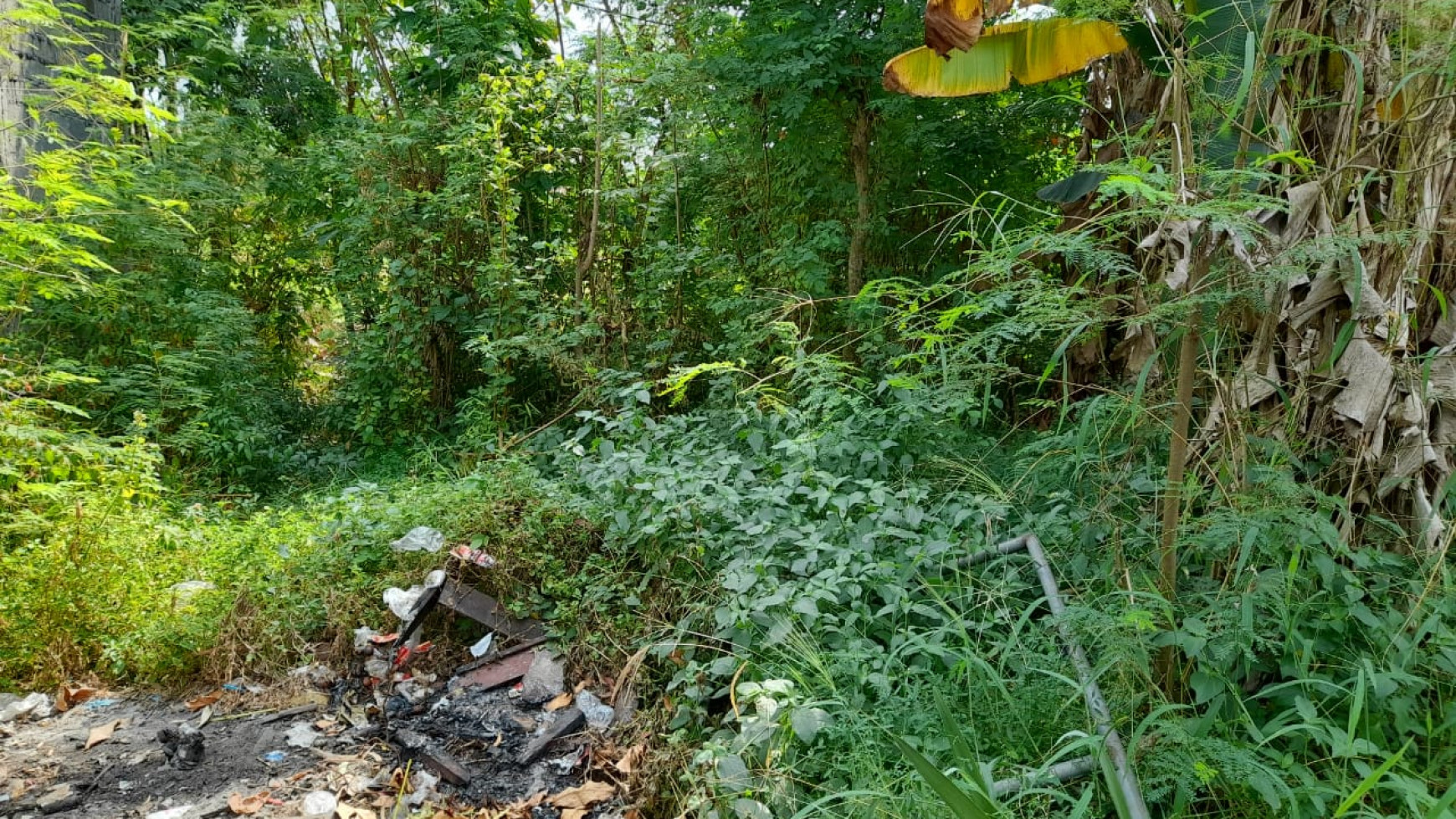 TANAH PEKARANGAN 1343 METER PERSEGI, DI JL BANTUL