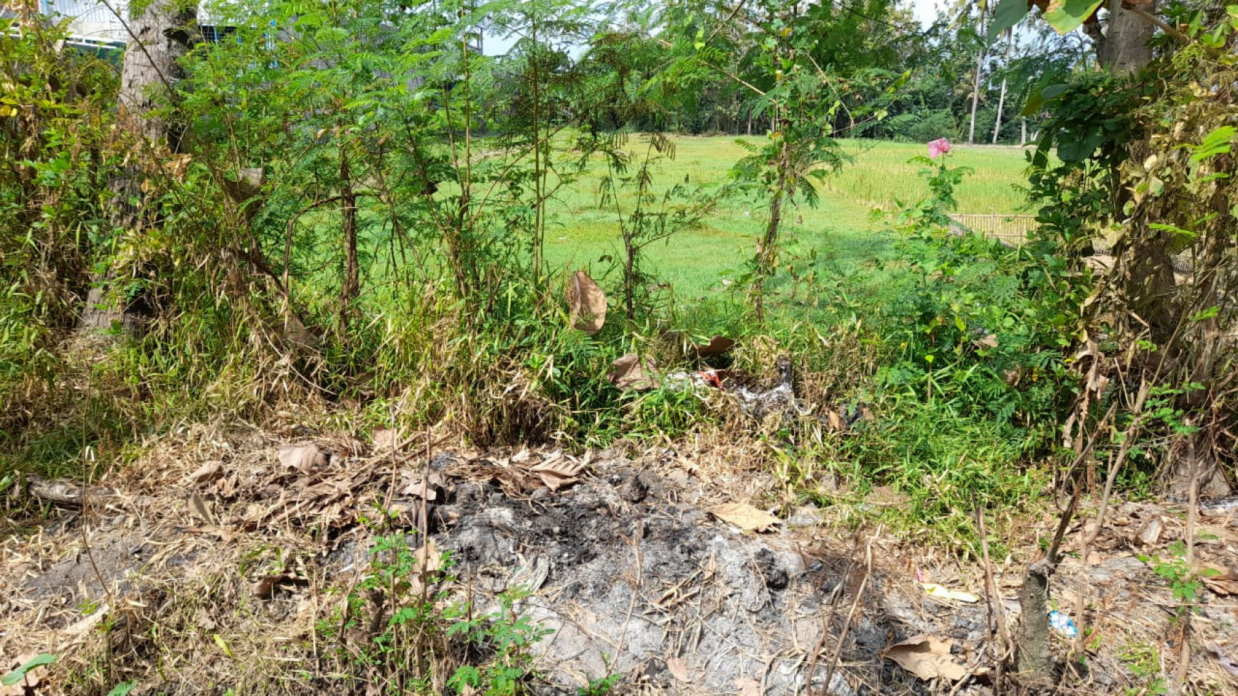 TANAH PEKARANGAN 1343 METER PERSEGI, DI JL BANTUL