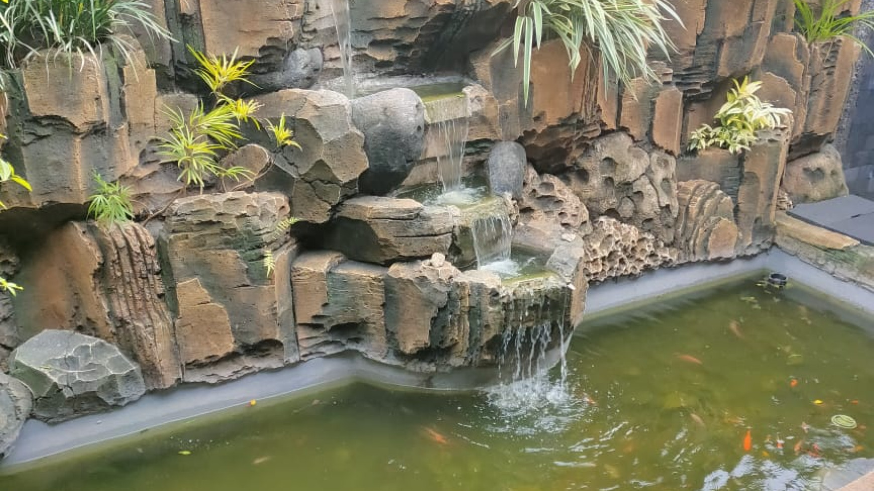 RUMAH CANTIK BERKONSEP VILLA + KOLAM RENANG DI PALIYAN, GUNUNG KIDUL