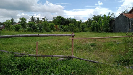 TANAH SELUAS 3899 METER PERSEGI DIPINGGIR JL MAGELANG - YOGYAKARTA