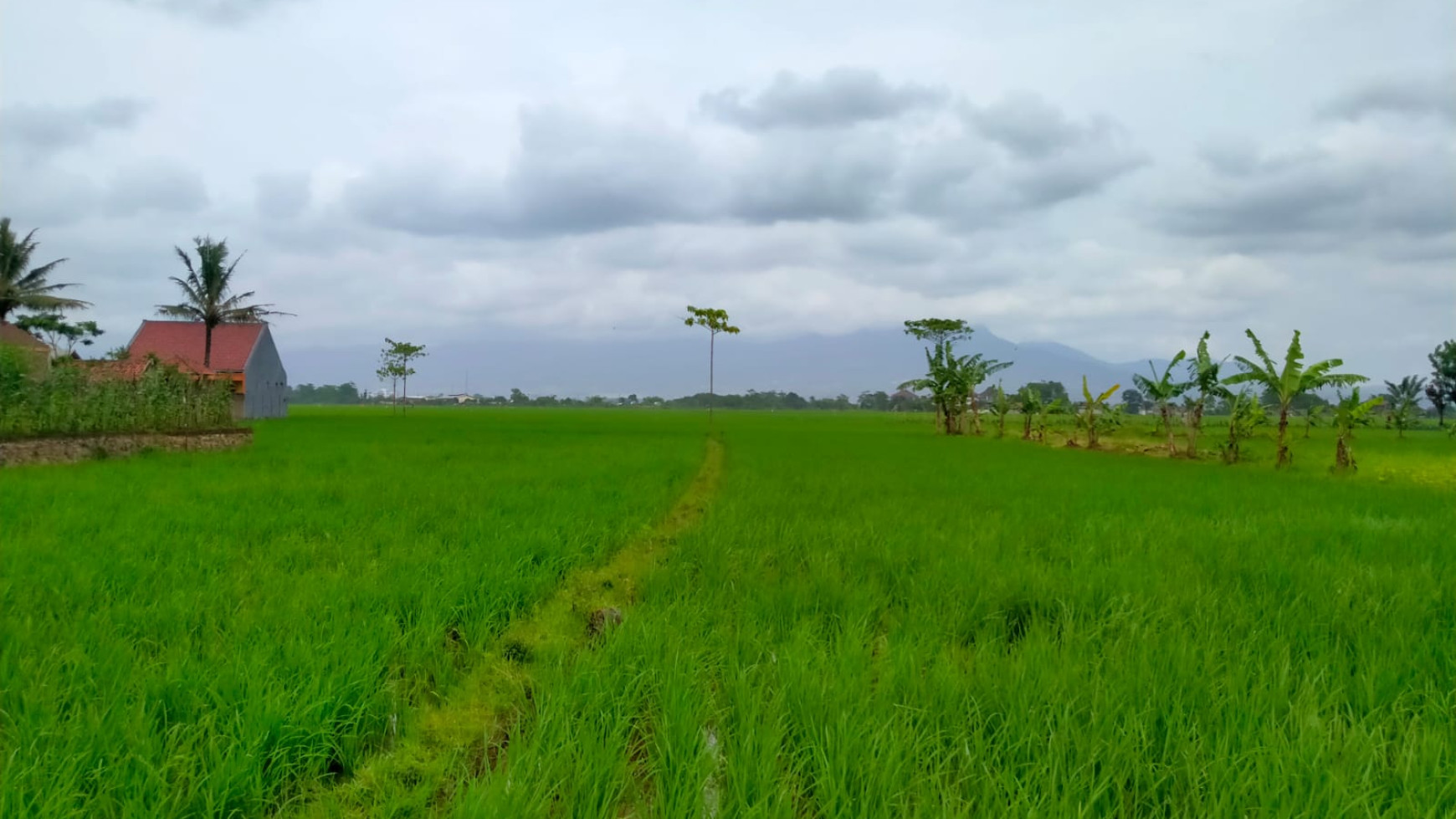 Kavling Mainroad Depan Perumahan Puri Melia Asri, Gede Bage