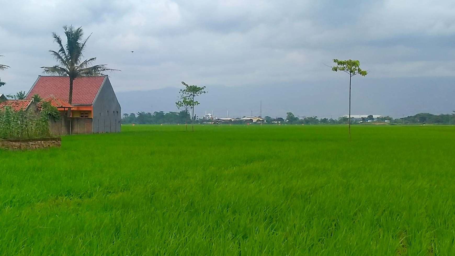 Kavling Mainroad Depan Perumahan Puri Melia Asri, Gede Bage