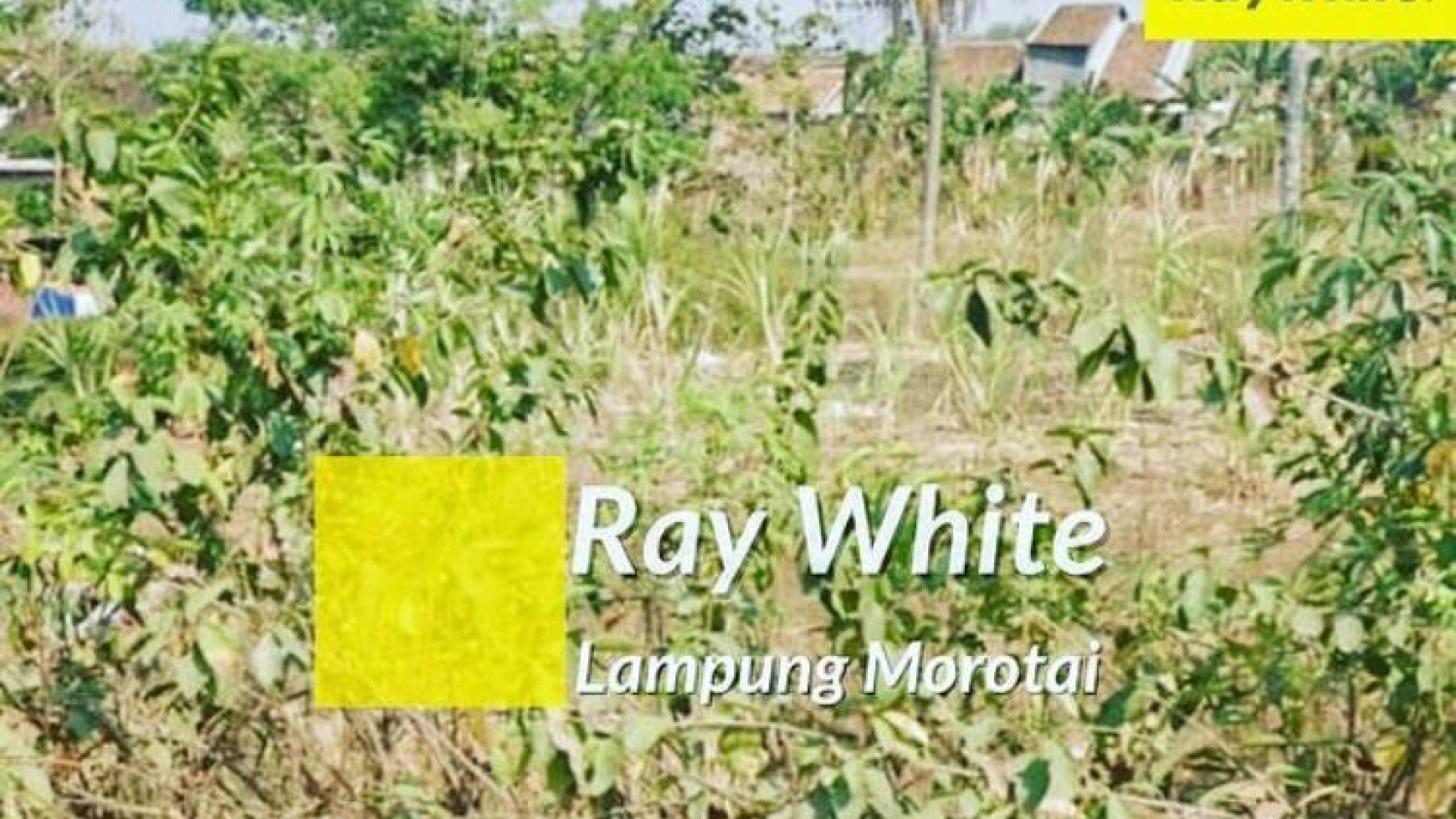 Tanah murah di Way Hui Airan raya Lampung