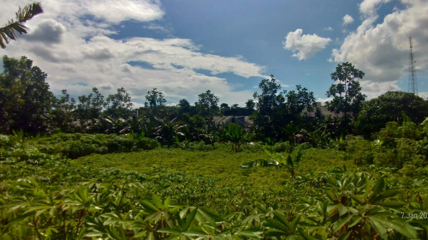 Lahan Kavling 1,7 Ha Dekat Puspitek dan Ciater BSD