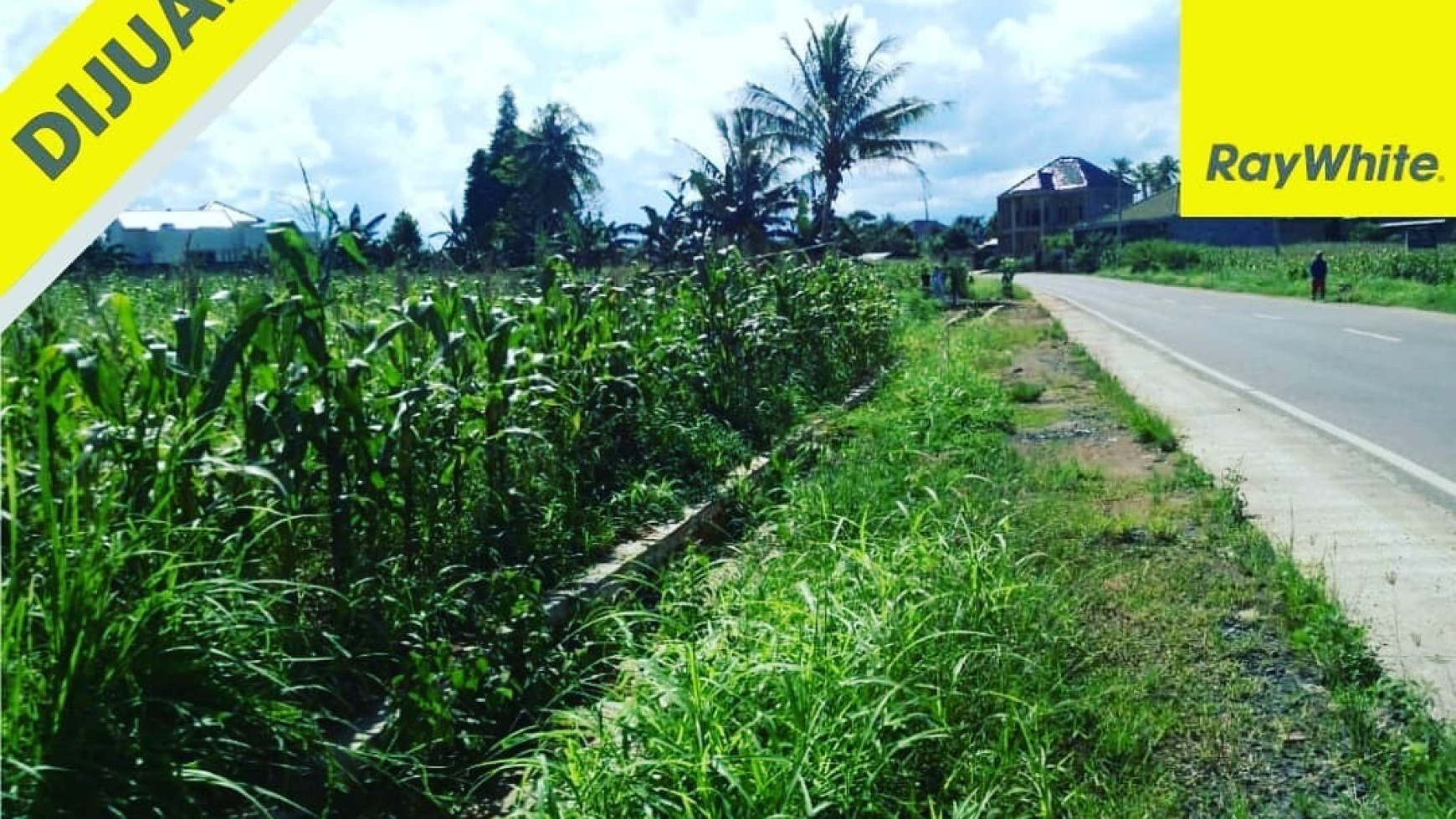  TANAH DI TEPI JALAN RADEN GUNAWAN RAJABASA BANDAR LAMPUNG