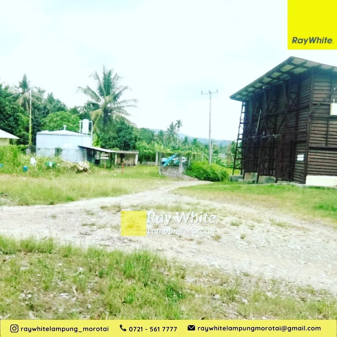 Tambak di desa Sidodadi  Padang Cermin, Pesawaran