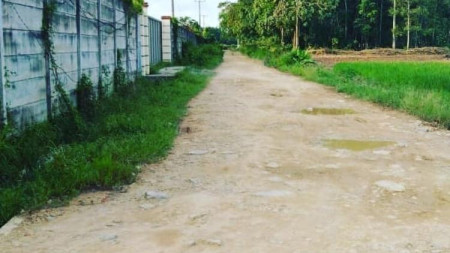 Tanah luas dan murah di Tanjung Bintang