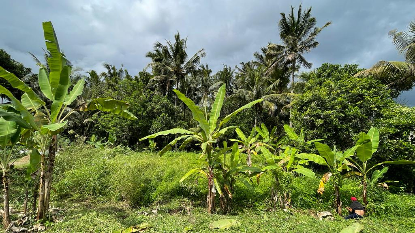 681 sq m Leasehold Land with Jungle View for Sale 5 Minutes from Central Ubud