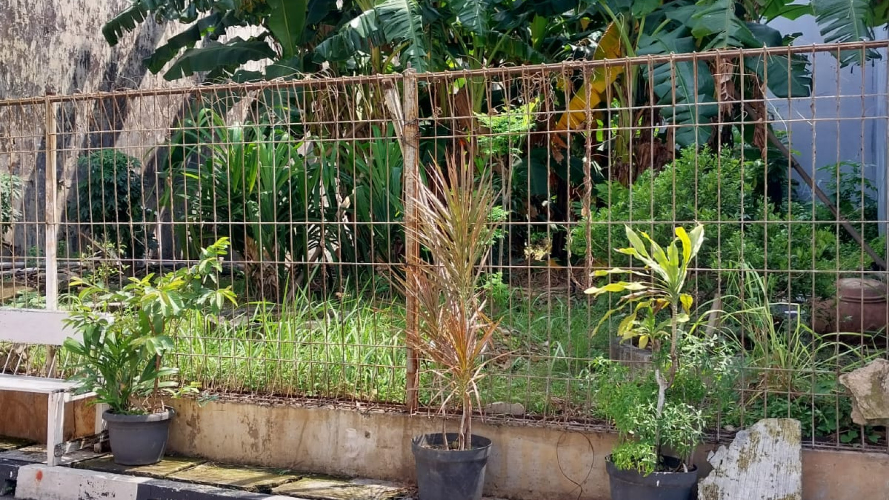 kavling di kelapa sawit V . bisa bangun sesuai keinginan.