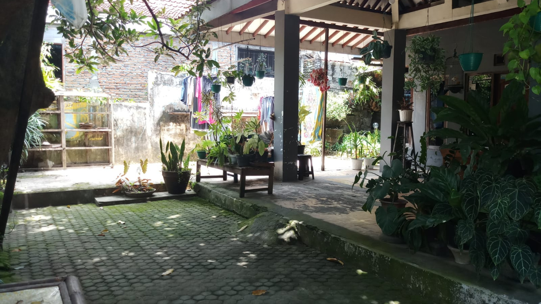 TANAH DAN RUMAH DI PANGGUNGHARJO BANTUL YOGYAKARTA