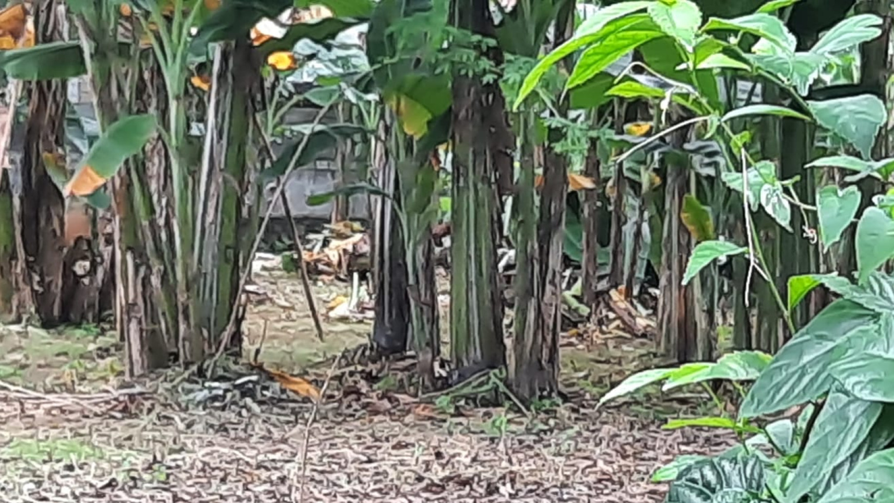 Kavling Siap Bangun, Lokasi Strategis dan Pinggir Jalan Raya @Lebak Bulus