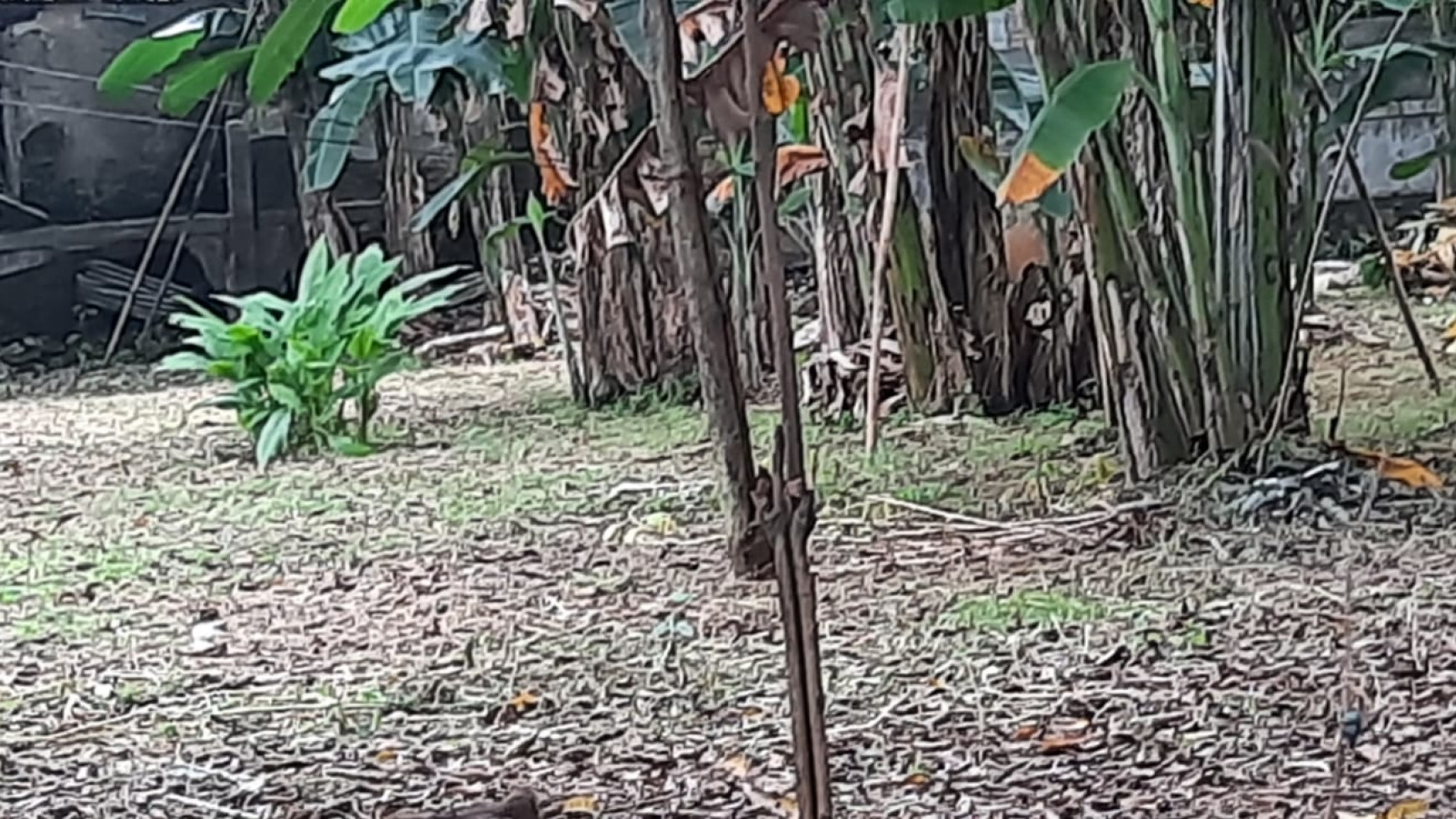 Kavling Siap Bangun, Lokasi Strategis dan Pinggir Jalan Raya @Lebak Bulus