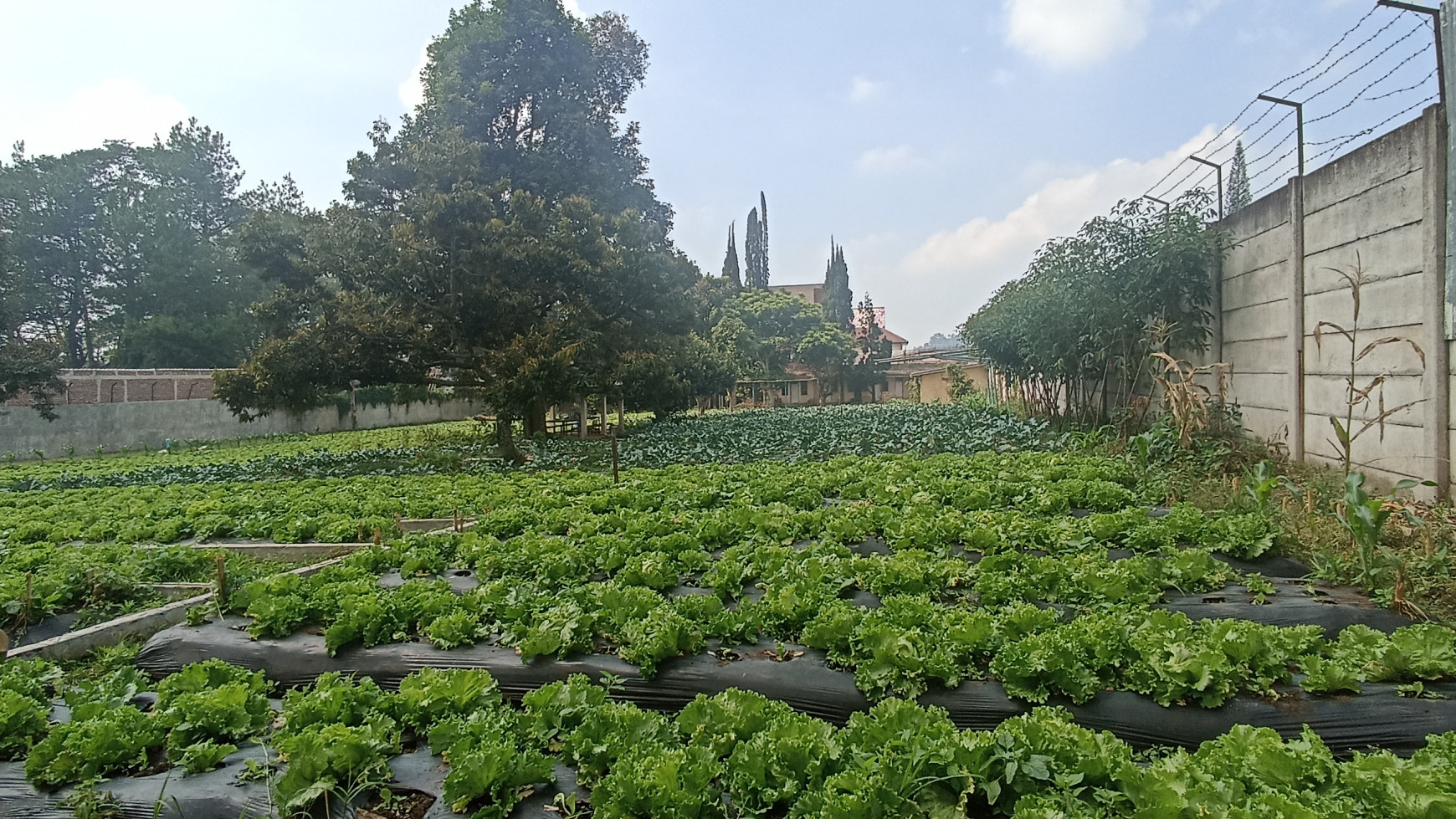 Kavling Siap Bangun di Panorama, Lembang Bandung