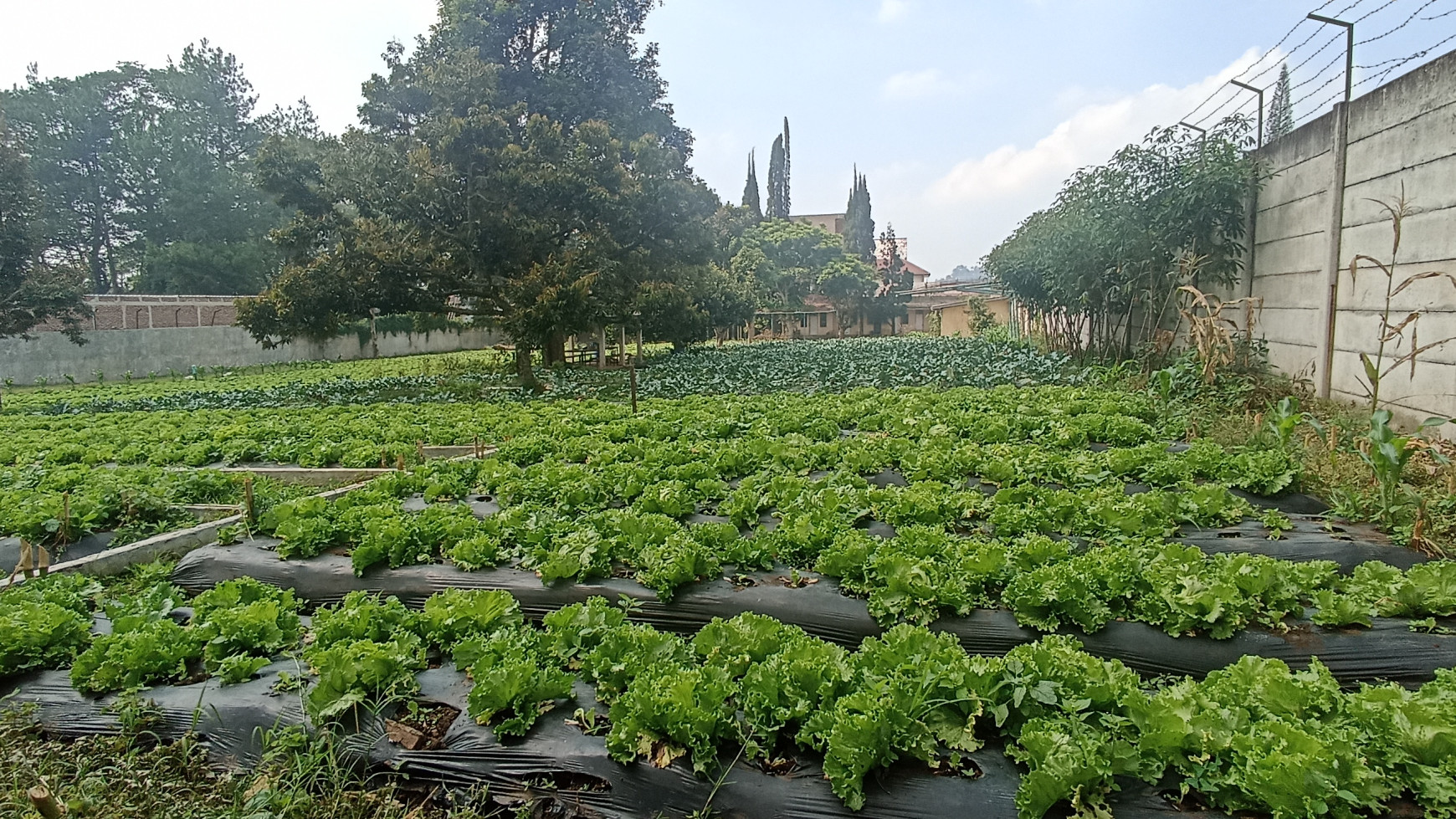 Kavling Siap Bangun di Panorama, Lembang Bandung