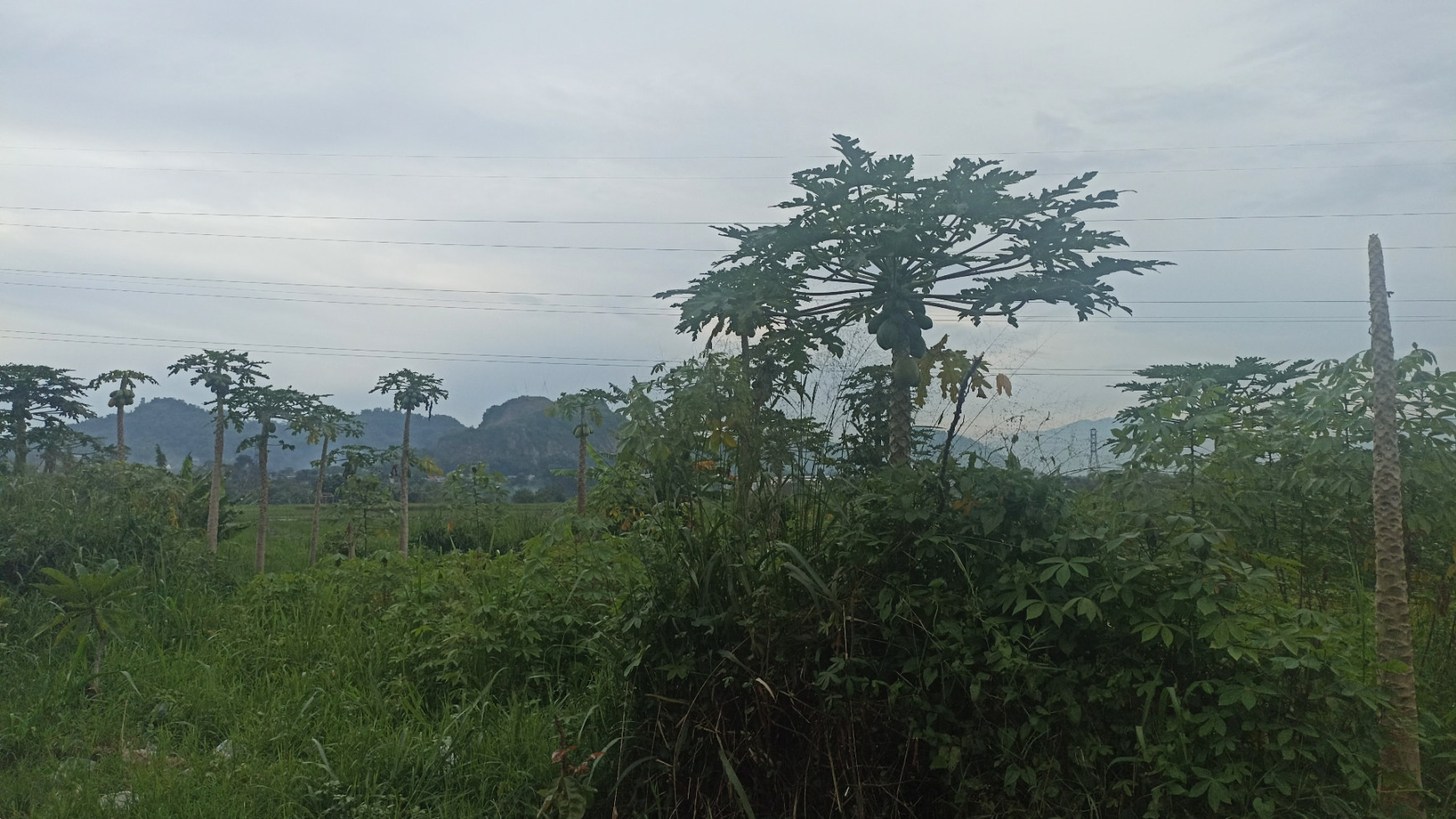 Tanah Srategis Siap Bangun di jl Raya Nanjung