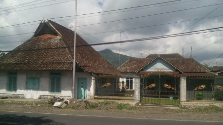 Dijual Rumah Walet - Jalan Raya Jember - Banyuwangi - Jawa Timur + Ada 3 Kg Sarang Burung