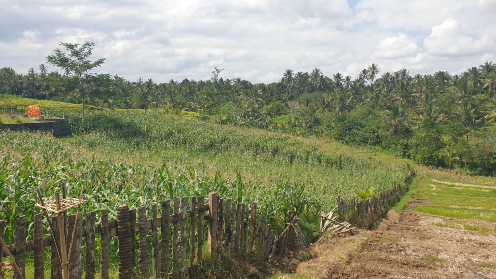 Tanah 3150 m2 di  Selemadeg Tabanan Bali 